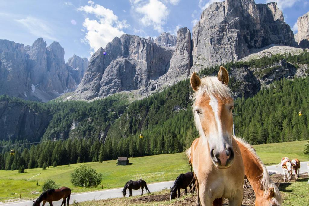 Chalet Madrisa Corvara In Badia Bagian luar foto